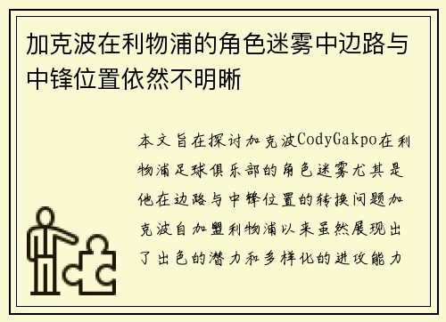 加克波在利物浦的角色迷雾中边路与中锋位置依然不明晰 加克波在利物浦的角色迷雾中边路与中锋位置依然不明晰